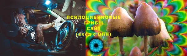 экстази Гусь-Хрустальный