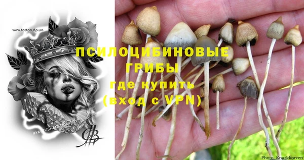 ПСИЛОЦИБИНОВЫЕ ГРИБЫ Михайловск