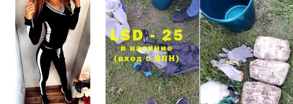 ПСИЛОЦИБИНОВЫЕ ГРИБЫ Михайловск
