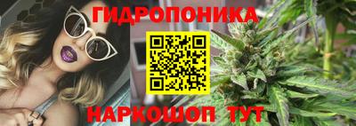 спиды Гатчина