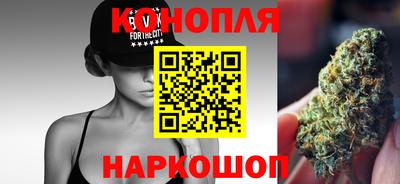 спиды Гатчина