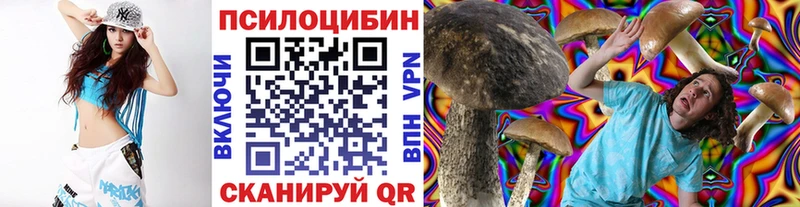 Псилоцибиновые грибы Psilocybine cubensis  наркотики  Кинешма 