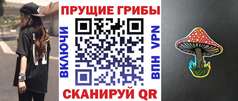 Псилоцибиновые грибы мицелий Кинешма