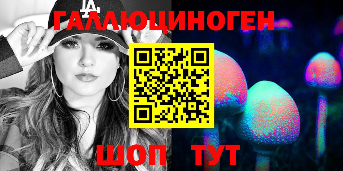 Кинешма  Псилоцибиновые грибы Psilocybe  Вход с VPN 