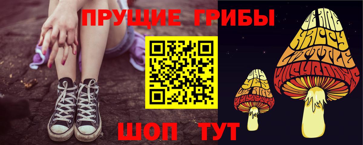Псилоцибиновые грибы прущие грибы Кинешма